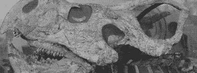 Worse yet; for some, like this poor Protoceratops Andrewsi, there's just NO coming back...OR IS THERE?!?!?!111